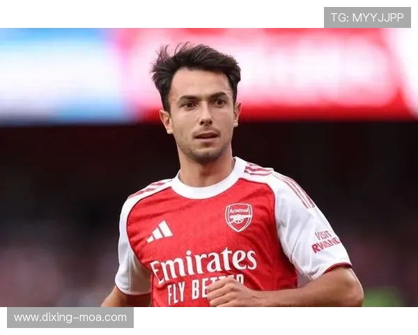 祖比门迪国家队地位是否被高估?战术适配与实战贡献分析 祖比门迪国家队地位是否被高估?战术适配与实战贡献分析