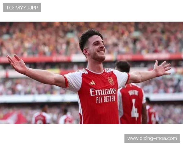 赖斯战术价值解析：全能中场如何体现